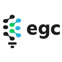 Envision Group Consulting