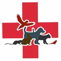 Animal Hospital and Dental Clinic