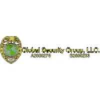 Global Security Group, LLC Global Security Group, LLC