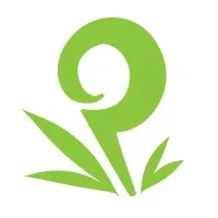 Patopo Studio