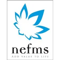 NEFMS TRADING LLC