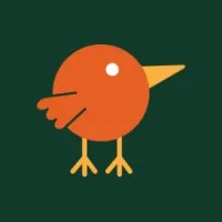 Alisos