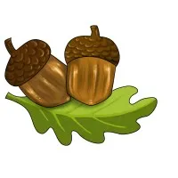 Anderson Energy Efficiency