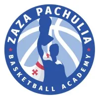 Zaza Pachulia Basketball Academy