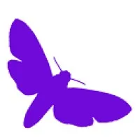 Women in Computer Science at ASU