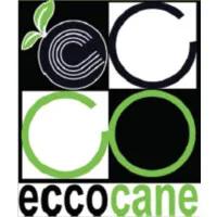EccoCane
