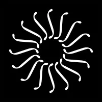 Bay Chamber Concerts and Music School