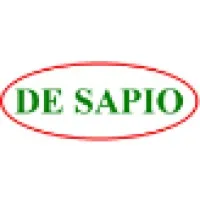DeSapio Construction Inc.