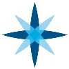BlueStar Search Partners LLC BlueStar Search Partners LLC