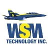 WSM Technology, Inc WSM Technology, Inc