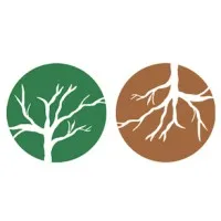 Revive the Roots