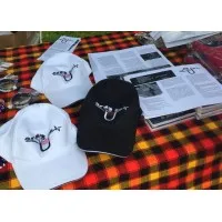 Ustawi Biomedical Research Innovation and Industrial Centers of Africa, Inc