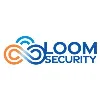 Loom Security Loom Security