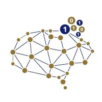 Digital Skills Authority Digital Skills Authority