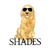 Shades Sunglasses Shades Sunglasses