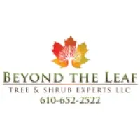 Beyond The Leaf Tree and Shrub Experts