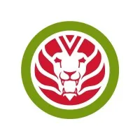 VOKE ENERGY