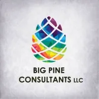 Big Pine Consultants LLC