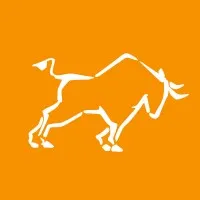 Toro Liners Do Brasil