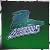 Florida Everblades Professional Hockey Club
