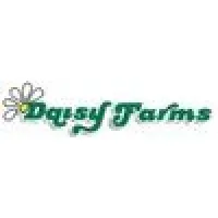 Daisy Farms