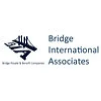Bridge International Associates