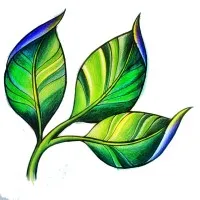 Marmelos Technologies pvt ltd