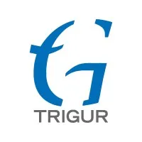 Trigur Electronics India Pvt. Ltd.