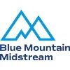 Blue Mountain Midstream Blue Mountain Midstream
