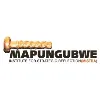 Mapungubwe Institute for Strategic Reflection Mapungubwe Institute for Strategic Reflection