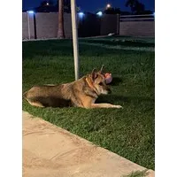 ruby Jerome, United States ruby Jerome, United States