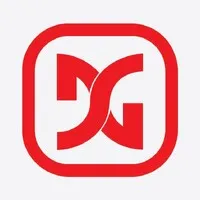 DSG LLC DSG LLC
