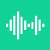 Outside Voice Outside Voice