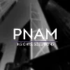 PNAM & Co. LLP PNAM & Co. LLP