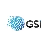 Geographic Services, Inc. Geographic Services, Inc.