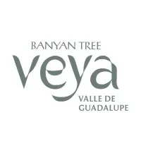 Banyan Tree Veya Valle de Guadalupe