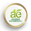 Amazing Enterprises Amazing Enterprises