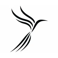 SOAR Consulting, LLC SOAR Consulting, LLC