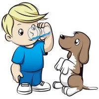 Fidelis Elite Systems