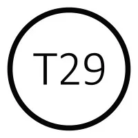 T29 Consulting
