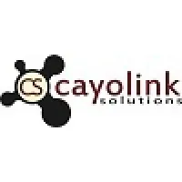 Cayolink Solutions Ltd