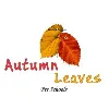Autumn Leaves Preschool Autumn Leaves Preschool