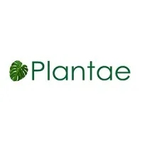 Plantae
