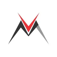 VNM TELECOMMUNICATIONS LLP VNM TELECOMMUNICATIONS LLP