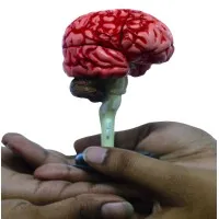NeuroCognitive Lab DEI