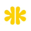 Brainster