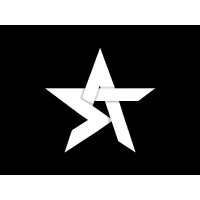 Savant Artists