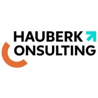 Hauberk Consulting