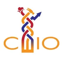 Co-Creating Effective and Inclusive Organizations/Organizers