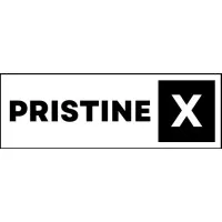Pristinex Digital LLP
